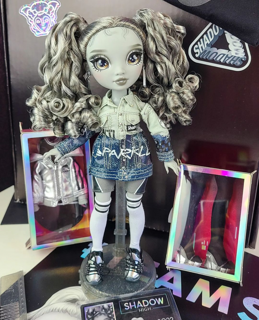 Rainbow High Shadow High Nicole Steel doll in real life