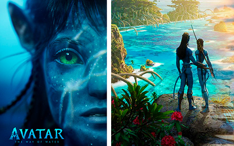 Avatar 2 The Way of Water movie: trailers, posters, actors, release date and more info