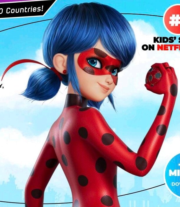 Miraculous Ladybug Cat Noir Awakening  promo art