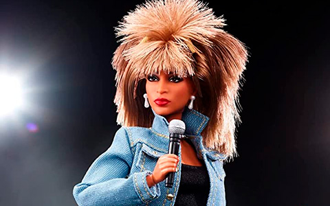 Barbie Signature Tina Turner doll 2022