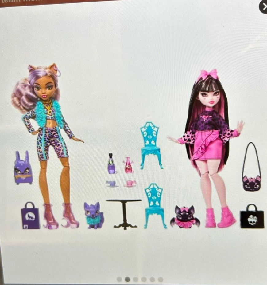 Monster High Faboolous Pets  2 pack with Clawdeen Wolf and Draculaura dolls