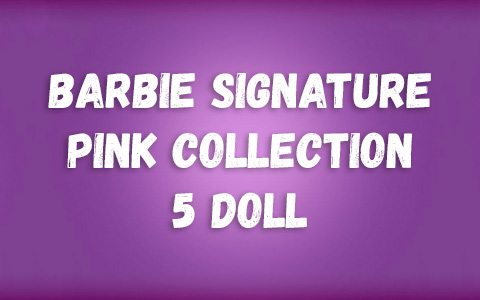 Barbie Signature Pink Collection 5 doll