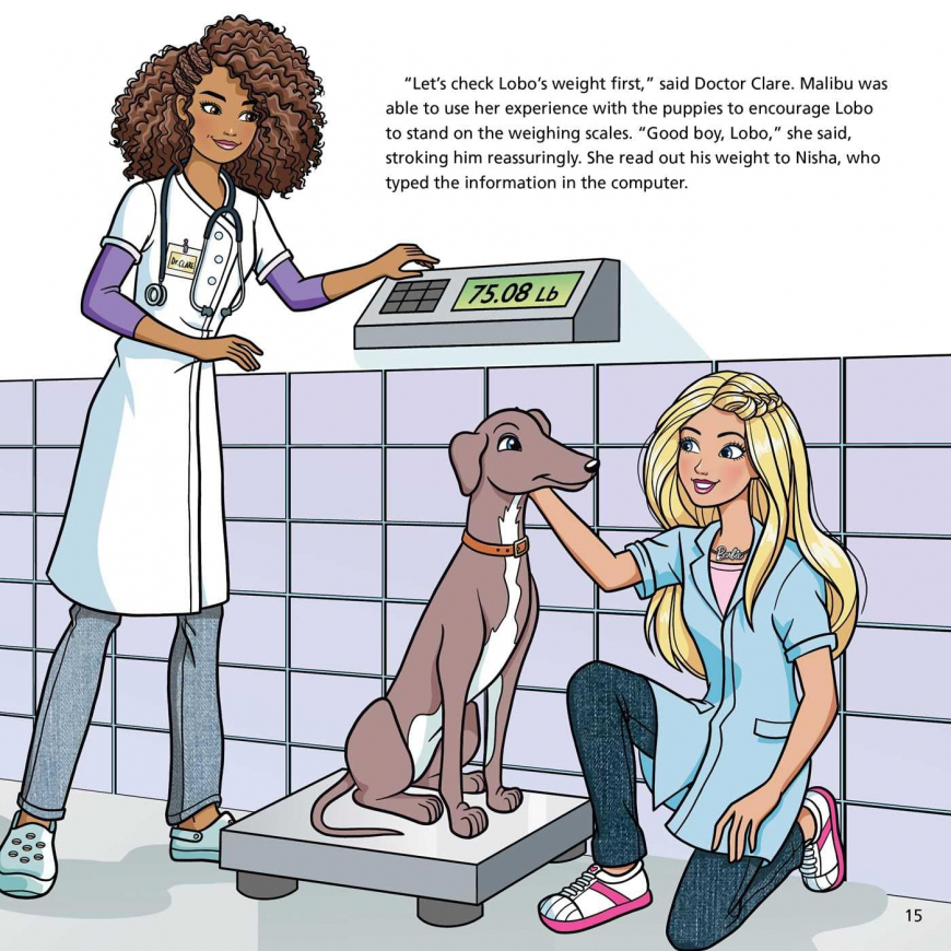 Barbie: You Can Be A Pet Vet Sticker Book