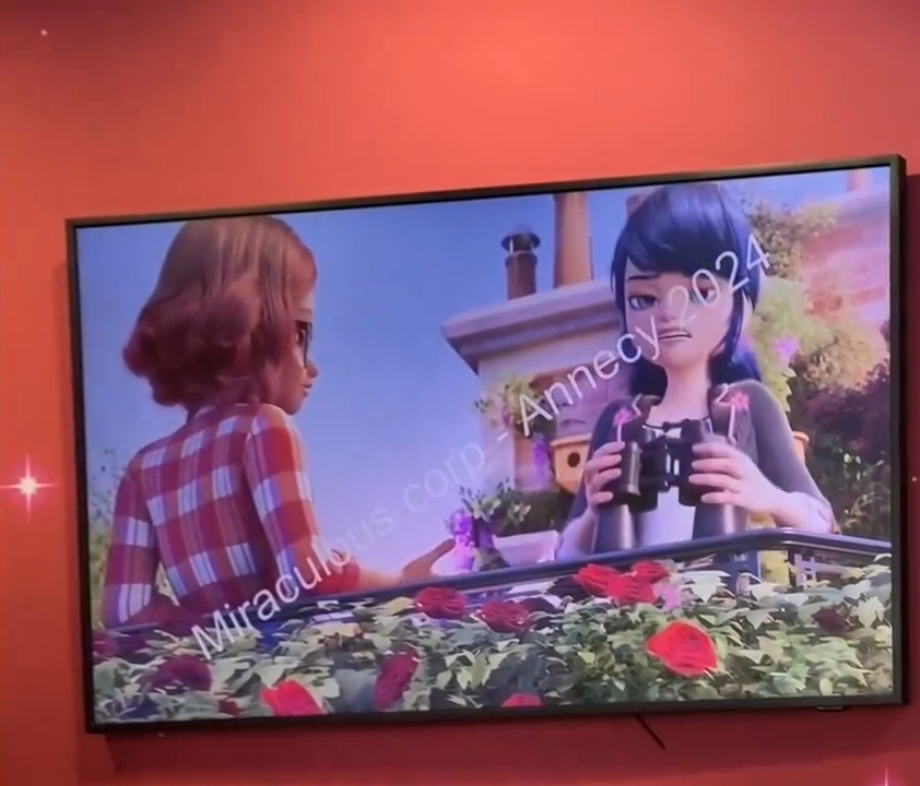 Miraculous Ladybug and Cat Noir season 6