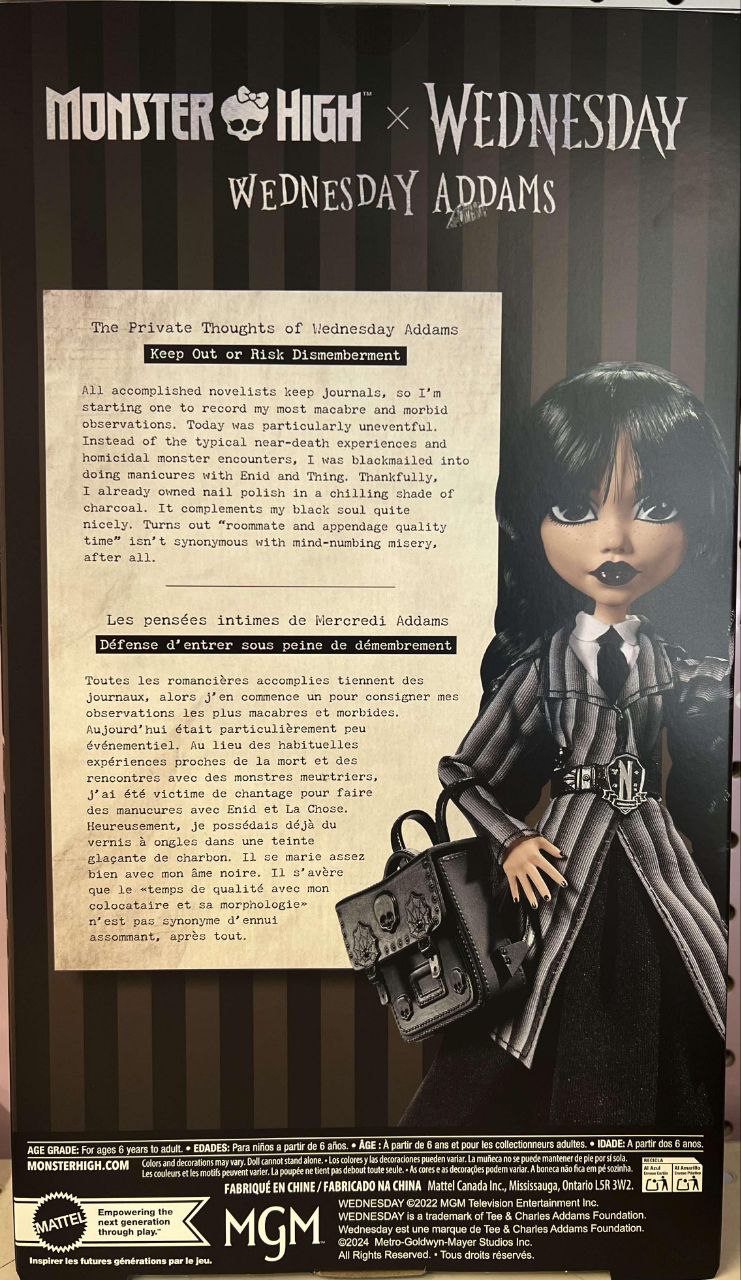 Monster High Wednesday x Netflix Wednesday doll in box