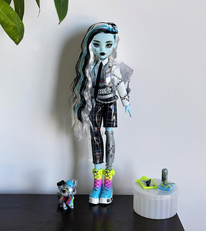 Monster High Welcome Committee Frankie Stein doll in real life