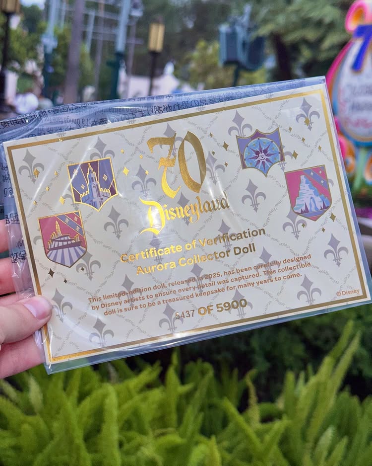 Disneyland's 70th Anniversary Sleeping Beauty Aurora Limited Edition doll in real life photos
