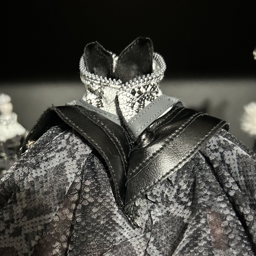 Irl photos of Shadow High Collector Heather doll