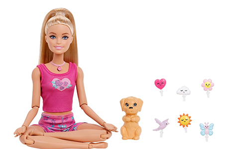 Barbie Mindful Moves Doll
