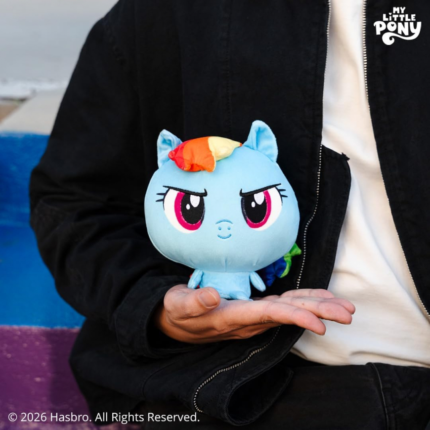 TeeTurtle My Little Pony Rainbow Dash 5" Cloudheads Plushie