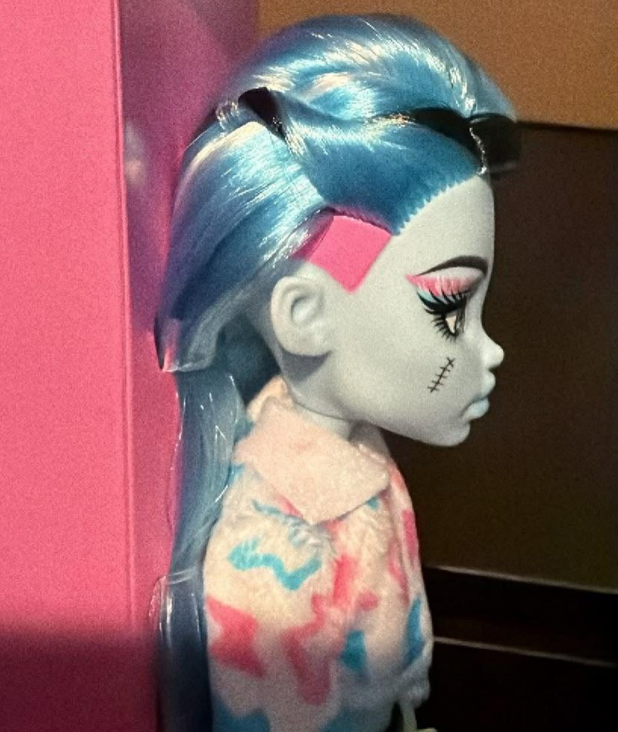 Monster High Self-Scare Secrets Frankie Stein doll irl photo