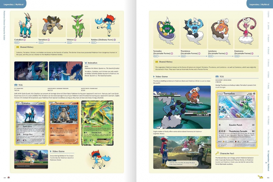 Pokémon Deluxe Character Guide (Pokemon Pikachu Press) book
