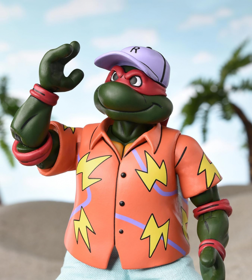 Teenage Mutant Ninja Turtles (Cartoon) Bodacious Beach Bros. 2025 Con Exclusive set