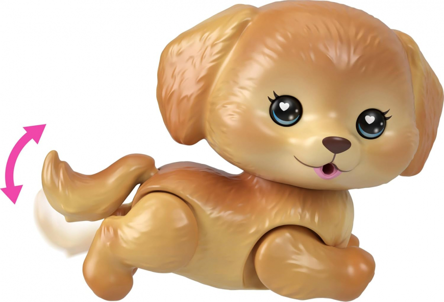 Barbie Dream Squad Pet Puppy And Pool